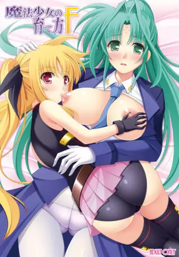 [K-Drive (Narutaki Shin)] Mahou Shoujo no Sodatekata F (Mahou Shoujo Lyrical Nanoha) [Digital]