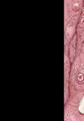 [Studio Paja (PAJA)] Invader