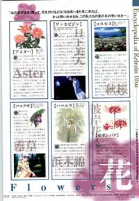 (一般画集) [elf] リフレインブルー 完全ガイド