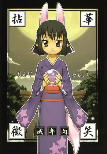 (C61) [Y no Shokutaku (Hamada Yoshikadu)] Nengemishou (Summon Night 2)